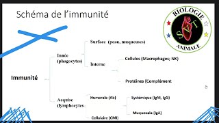 Immunité inné amp Immunité acquise [upl. by Lisan]