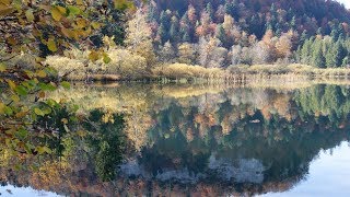 Lac de BONLIEU JURA [upl. by Esilenna]