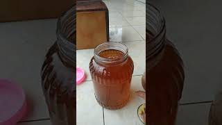 Membuat bibit scoby teh kombucha edisi panen kombucha akhirnya bisa dipanen [upl. by Ennairek]