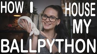 HOW I HOUSE MY BALLPYTHON Noels terrarium gets redecorated [upl. by Lucilia]