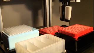 Magnetic Bead Prep 8x for DNA extraction High Throughput Lab Automation [upl. by Laynad621]