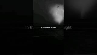 middle of the night song shortslyrics [upl. by Onairda]