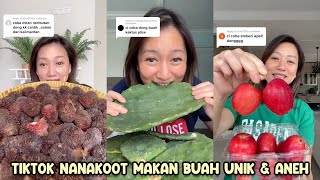 NANAKOOT MAKAN KAKTUS  TIKTOK NANAKOOT MAKAN BUAH UNIK amp ANEH [upl. by Godewyn25]