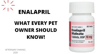 What Every Pet Owner Should Know About The Use Of Enalapril In Dogs  Side Effects Of Enacard [upl. by Vedette425]