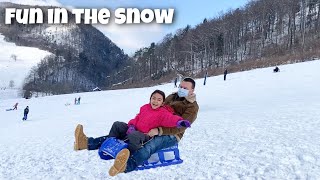 SchlittenfahrenSledding in SwitzerlandFun in the Snow [upl. by Nek]