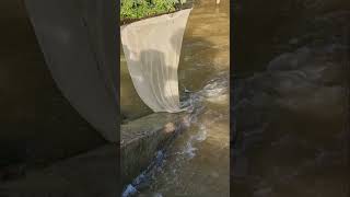 Cast Net Fishing Under Dam part 682 fishing netfishing [upl. by Naoh]