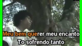 VIDEO KARAOKE DJAVAN MEU BEM QUERER [upl. by Neenej]