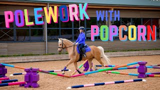 POLEWORK WITH POPCORN  SHOW STOPPING HORSE amp PONY POLE EXERCISES [upl. by Nnylsaj]