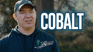 Unlocking the Power of Cobalt Enhancing Plant Health and Crop Yield [upl. by Eniarral]