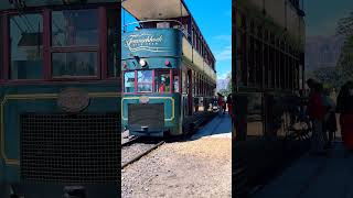 Franschhoek Tram SAR 🇿🇦 tram shorts franschhoek southafrica travel vibes travelgram africa [upl. by Sierra]