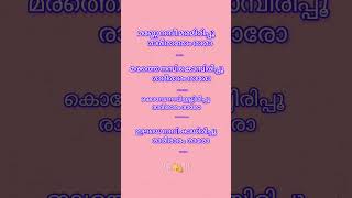 Manne Nambi 🎵🎵shorteditanalysis songdabzee malayalam shortvideo shortviral [upl. by Ackerman]