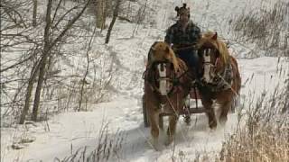 The Modern Horse Loggers of Minnesota [upl. by Htebazile]