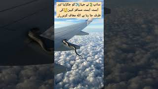 Flying snack on commercial airliner wing shortvideo aviation pafpilots americanpresident [upl. by Kalam]