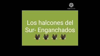 los halcones del sur enganchados [upl. by Mattah455]