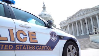 Capitol Police arrest man with torch lighter flare gun attempting to enter visitors center [upl. by Aihsaei]