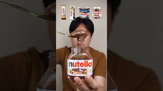 EATING VARIOUS KIND OF NUTELLA asmr mukbang shorts [upl. by Llevart]