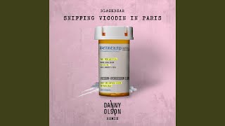 sniffing vicodin in paris Danny Olson Remix feat Danny Olson [upl. by Starr]