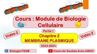 Biologie Cellulaire BCG S1  Partie de la membrane plasmique vidéo 2 [upl. by Ennirac736]