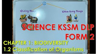 Dichotomous key  classification of Organisms [upl. by Aryl101]