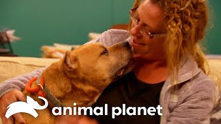 This Grandmother Finds the Perfect Dog for Her Grandkids  Pit Bulls and Parolees  Animal Planet [upl. by Blane]