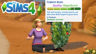 Plant Simulation Creating Your Own Exit Strategy [upl. by Edme199]