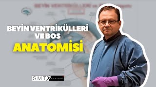 Beyin Ventrikülleri ve BOS Anatomisi [upl. by Verner233]