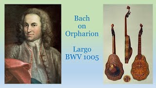 Bachs Largo BWV 1005 on Orpharion Bandora played by Taro Takeuchi バッハの『ラルゴ』BWV1005 [upl. by Downall501]