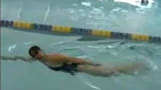 How to Swim the Freestyle Stroke  Breathing Pattern of the Freestyle Stroke [upl. by Anul]