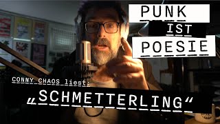 PUNK ist POESIE quotSchmetterlingquot von Team Scheisse [upl. by Dnomhcir]