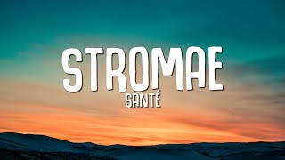 Stromae  Santé Paroles  Lyrics [upl. by Atnohsal]