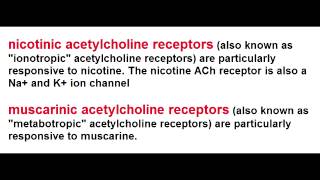 Ach Receptors  Nicotinic amp Muscarinic [upl. by Lika433]