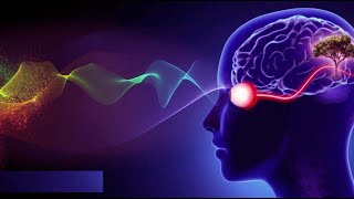 Introduction of Optic Nerve Injury Ophthalmopathy [upl. by Yetti]