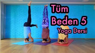 Başlangıç Seviye Yoga Dersi  Tüm Beden 5 [upl. by Georgia]