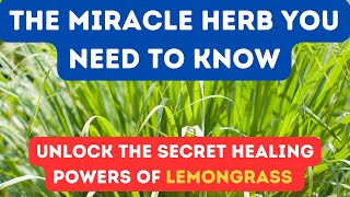 15 PROVEN HEALTH BENEFITS OF LEMONGRASS [upl. by Frederick]