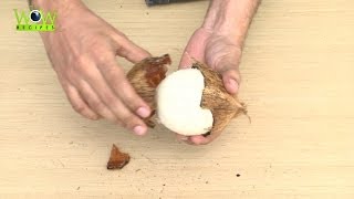 Easiest way to Remove Coconut Flesh From Shell With in 30 Seconds  Best Kitchen Tips  Wow Recipes [upl. by Eelnayr]