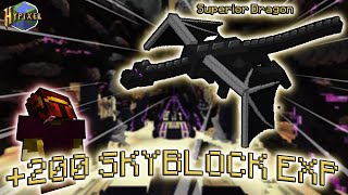 This Took 4 Days  Hypixel Skyblock SB Ep 60 [upl. by Nerdna110]