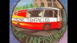 Ozric Tentacles  Bizarre Bazaar Live Underslunky 1992 [upl. by Crofton]