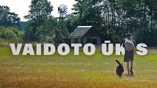 VAIDOTO ŪKIS  NAMELIS VIŠTOMS IR KITI DARBAI  34 [upl. by Yrelle251]