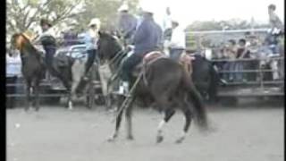 jaripeo autan caballos [upl. by Morrison]