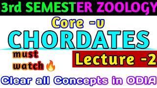 🎯for 2 amp 3rd SemesterCOREVLARVAL FORMS OF PROTOCHORDATES 💯  Full Concept Clear ବୁଝନ୍ତୁ ଓଡିଆରେ🔥 [upl. by Wedurn]