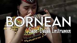 Bornean  Helmy Trianggara Official Music Video Sape Dayak Kalimantan [upl. by Brogle858]