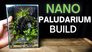 How To Make a Nano Paludarium Step By Step Tutorial [upl. by Corvin933]