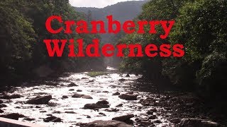 Cranberry Wilderness Trout via Mule Trip [upl. by Yellac]