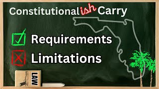 New Florida Gun Laws What a Responsible Gun Owner Needs to Know [upl. by Kitrak]