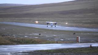 This is what I call  Crosswind LandingIslander at Tingwall Airport Shetland Watch HD [upl. by Anet]