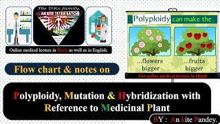 Polyploidy Mutation amp Hybridization with Reference to Medicinal Plant in Hindi  Polyploidy [upl. by Yeliac]