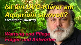 UVCKlärer  Ist ein UVCWasserklärer am Aquarium sinnvoll  LivestreamAuszug [upl. by Seabury]