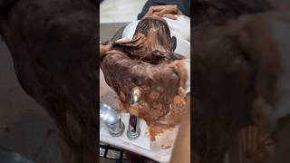 Reddish brown hair color sahilalihairartist balayage hairdye hairstyle haircolor [upl. by Astiram]