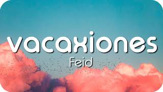 VACACIONES  Feid  1 Hour Version [upl. by Priscilla712]