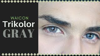 Waicon TriKolor  Gray Contact Lens Review [upl. by Are]